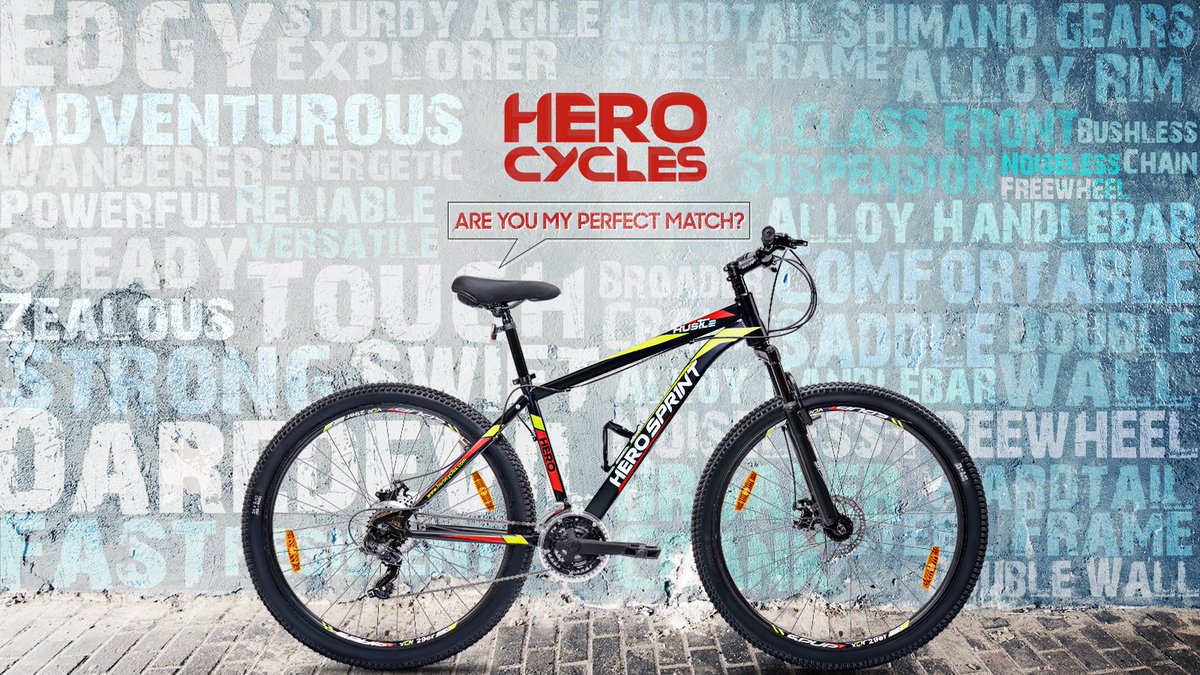 Find Your Perfect Match With Hero Cycles